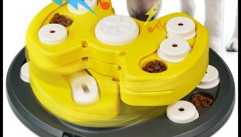 Kucēnu mīklu spēle: saistošas ​​spēles garīgai stimulēšanai