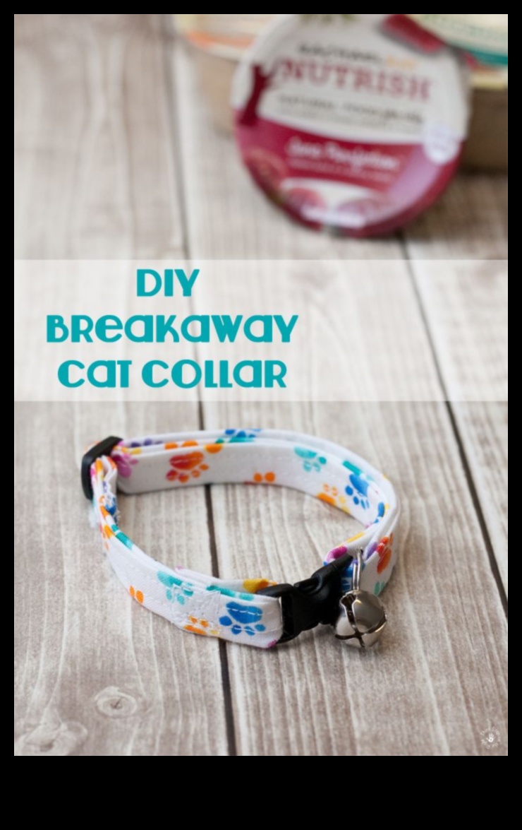 Kaķa kaklasiksna DIY: izveidojiet drošus un stilīgus aksesuārus jūsu kaķim