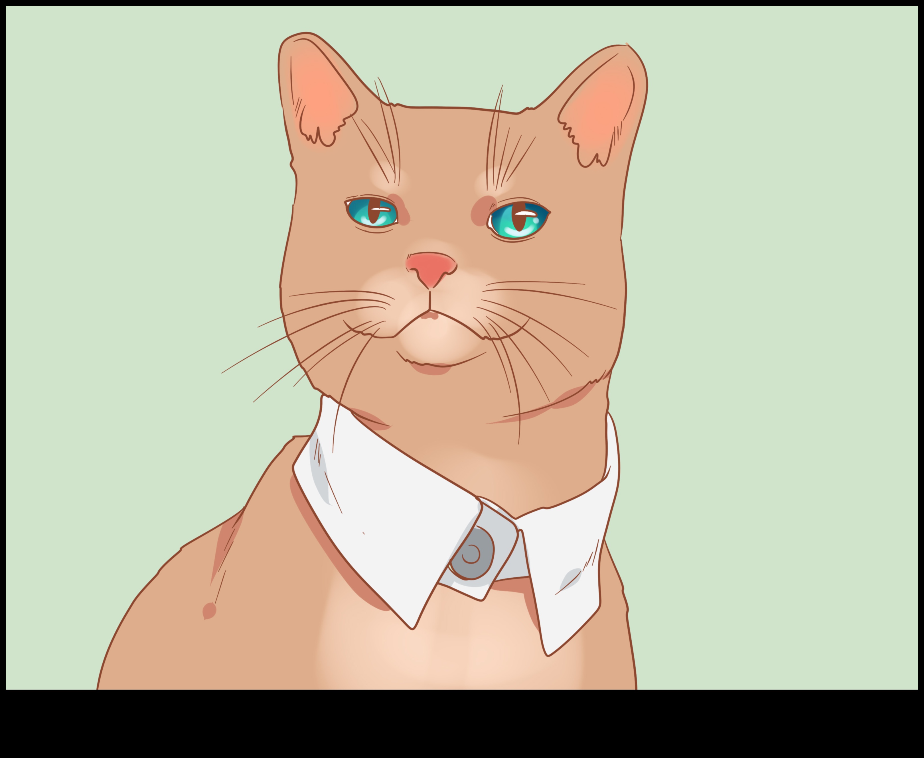 Kaķa kaklasiksna DIY: izveidojiet drošus un stilīgus aksesuārus jūsu kaķim