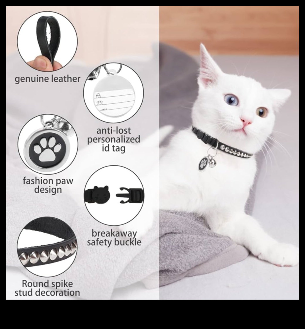 Kaķa kaklasiksna DIY: izveidojiet drošus un stilīgus aksesuārus jūsu kaķim