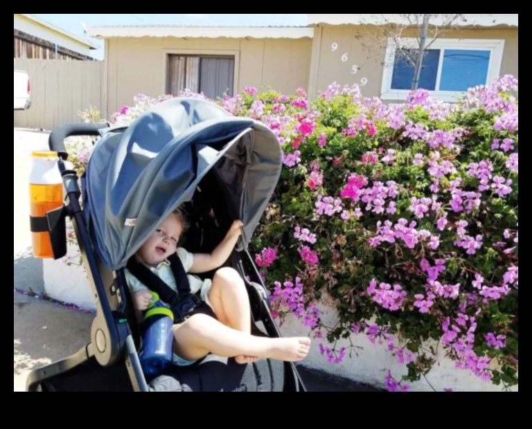 Mīkstas pastaigas: veselīgas un ērtas pastaigas ar mazuli