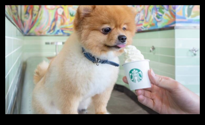 Snout and About: Suņiem draudzīgu kafejnīcu un restorānu izpēte