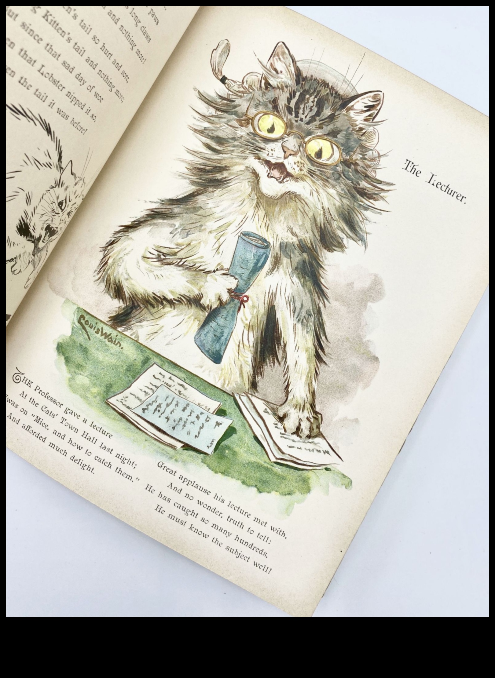 Whisker Wonderland: jautri un jautri jūsu kaķu draugam