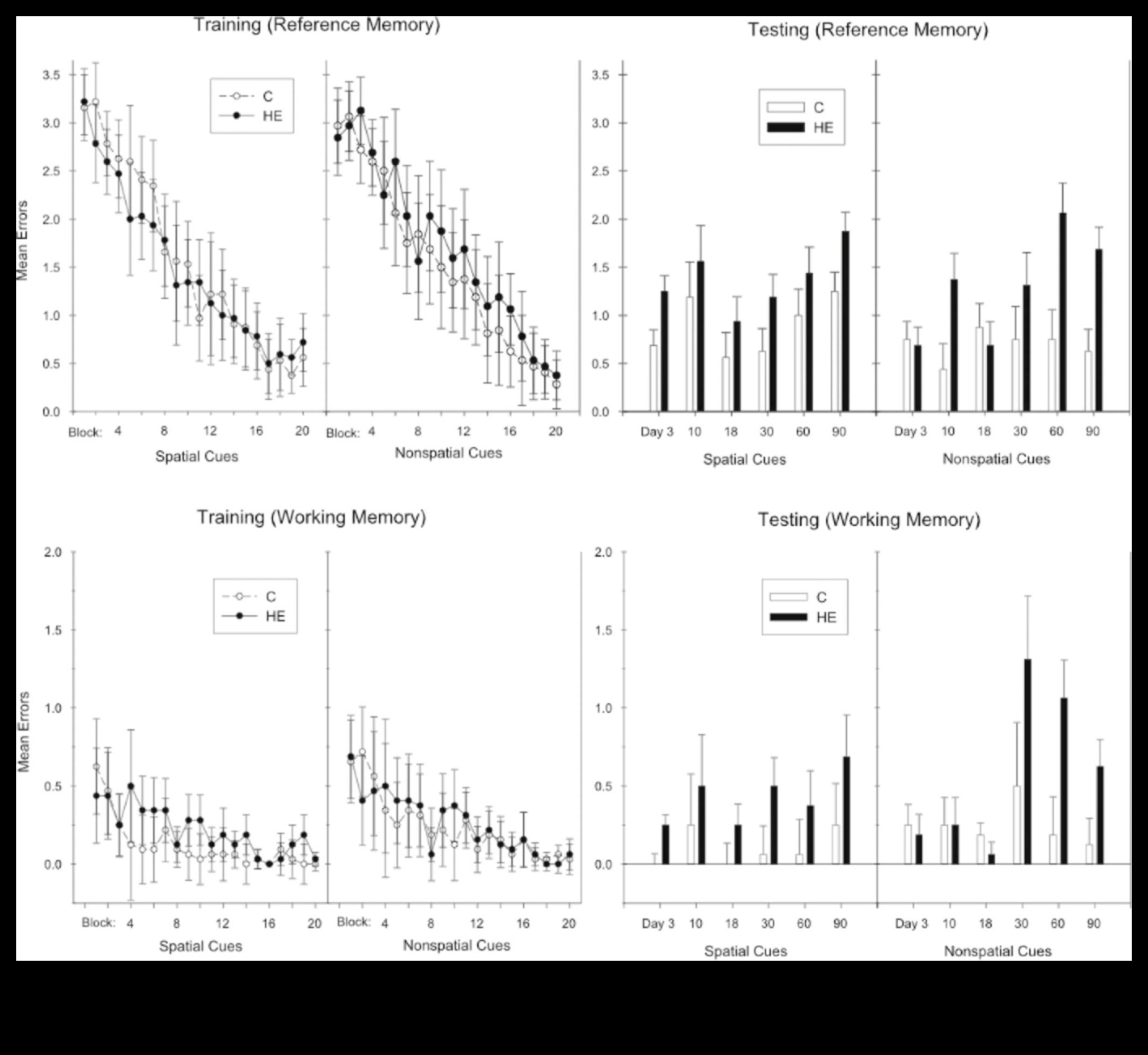 Enerģijas līmeņa uzturēšana: saistība ar ilgtermiņa diētām