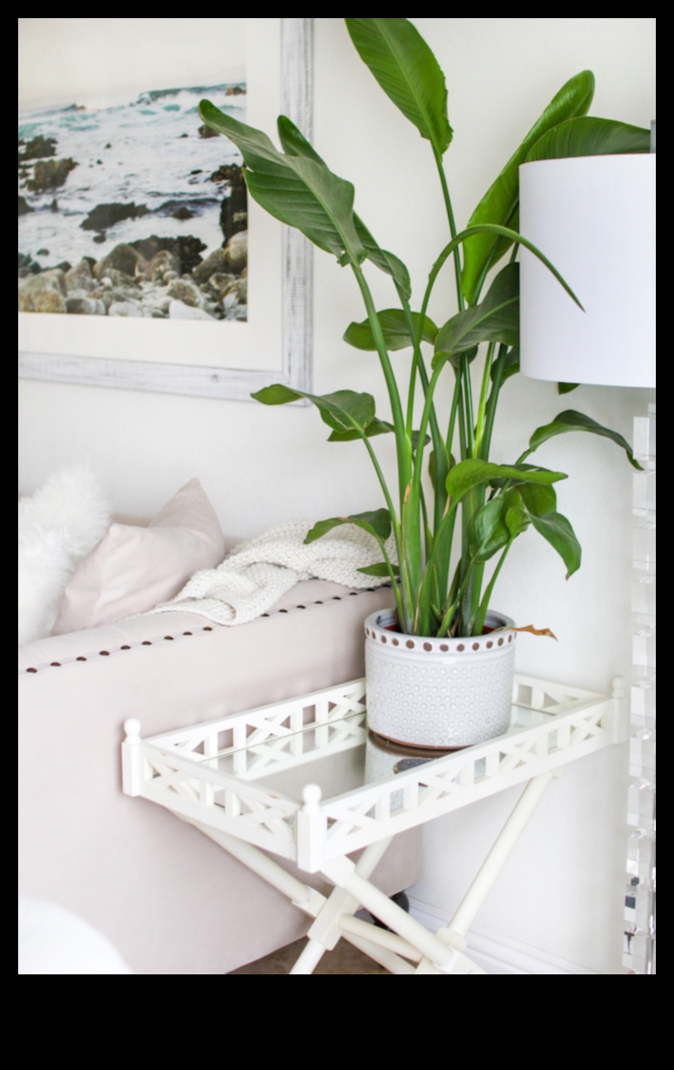 Dekorēšanas vienkāršošana: būtiski padomi un triki