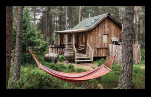 Kokapstrāde savvaļas dzīvniekiem: māju izveide āra radībām