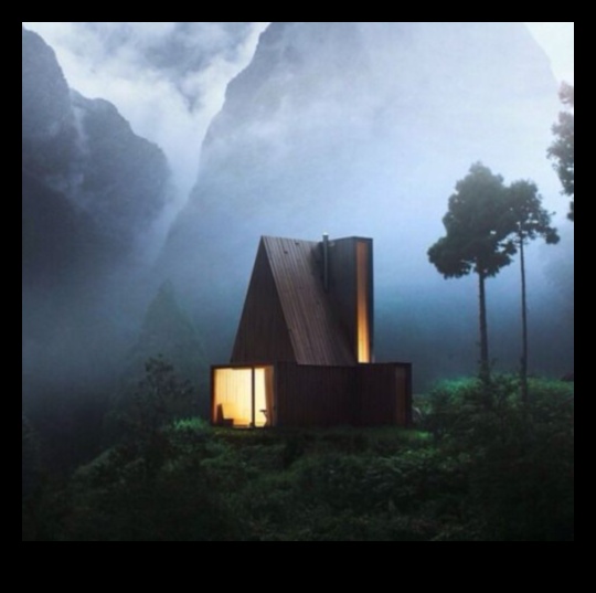 Kokapstrāde savvaļas dzīvniekiem: māju izveide āra radībām