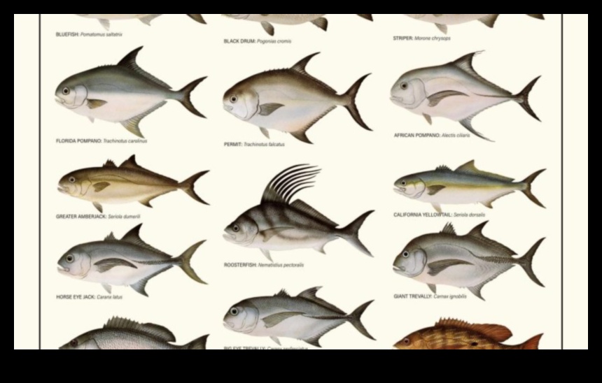 Finned Friends Continued: Zivis ar ievērojamām sociālajām struktūrām