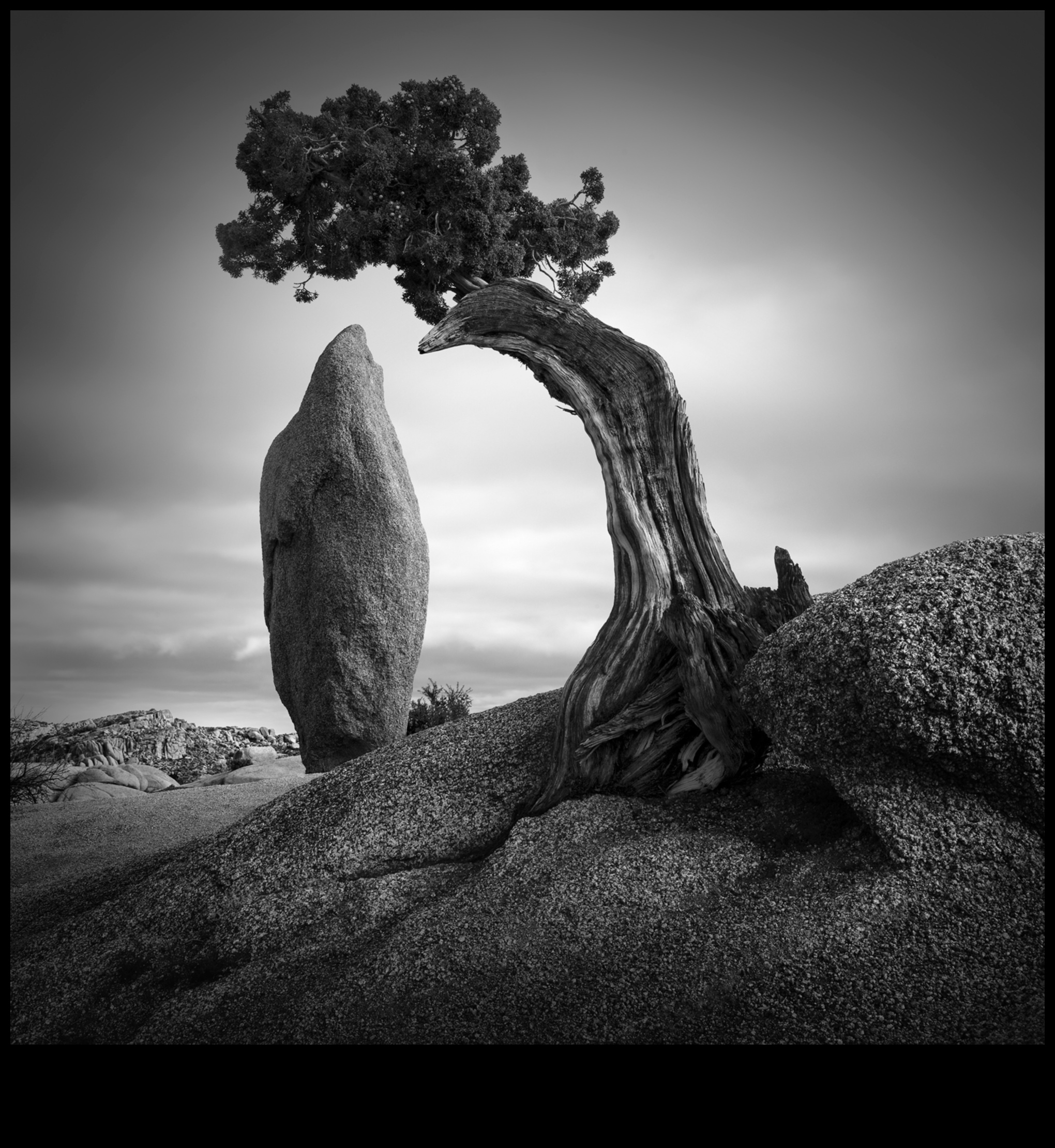 Klusas pārdomas: klusās dabas mirkļu izteikšana