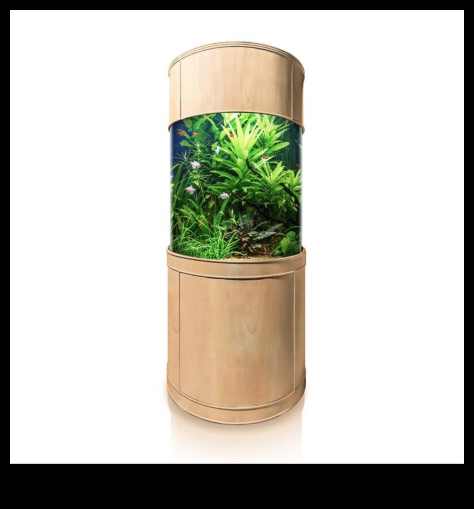 Aqua Accessory Alcove: izveidojiet stilīgu stūri jūsu zivju tvertnē