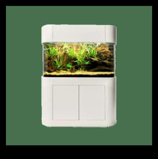 Aqua Accessory Alcove: izveidojiet stilīgu stūri jūsu zivju tvertnē