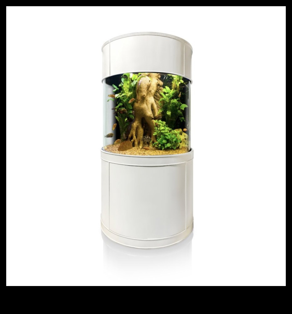 Aqua Accessory Alcove: izveidojiet stilīgu stūri jūsu zivju tvertnē