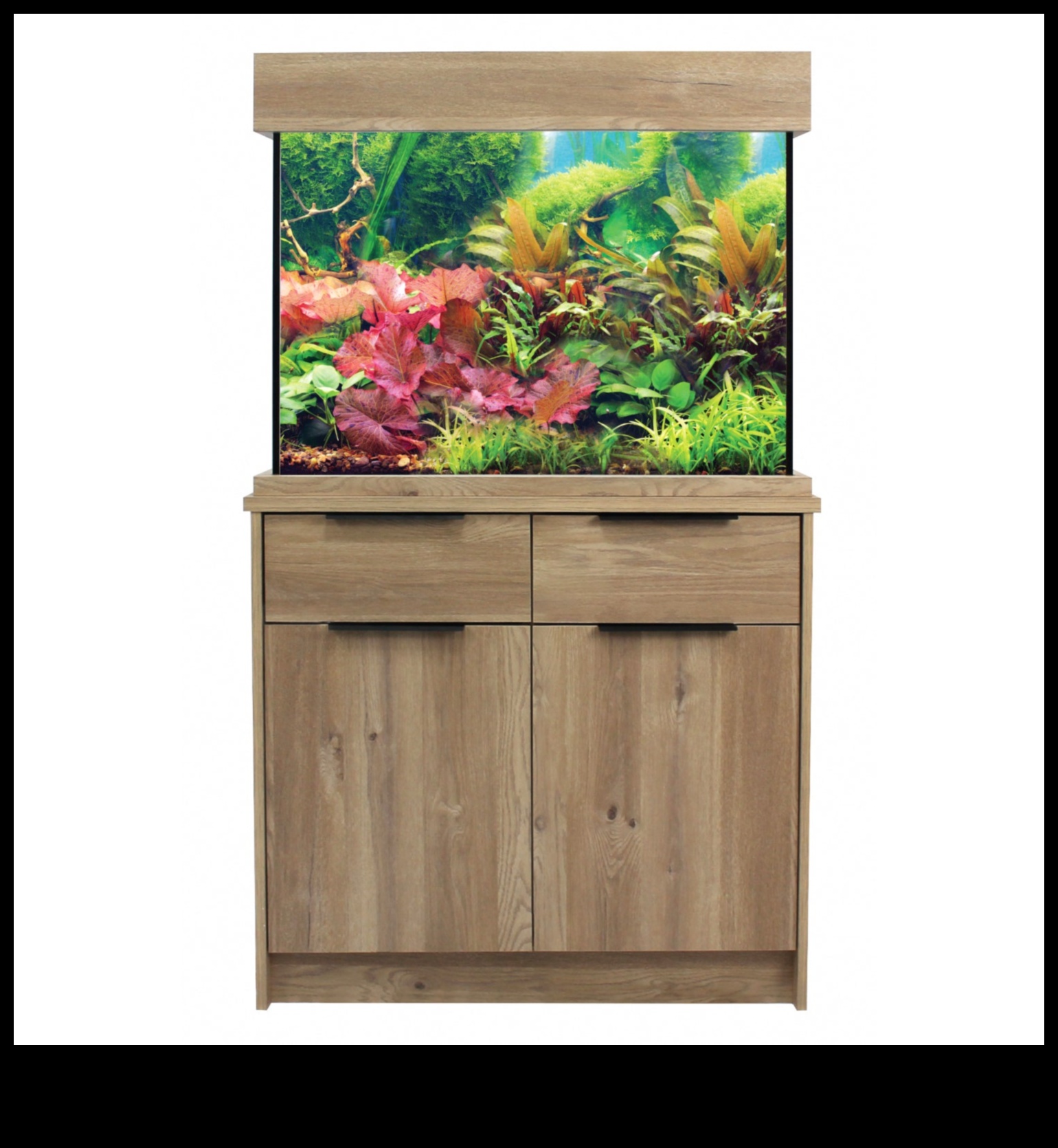 Aqua Accessory Alcove: izveidojiet stilīgu stūri jūsu zivju tvertnē