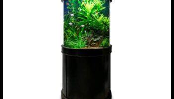 Aqua Accessory Alcove: izveidojiet stilīgu stūri jūsu zivju tvertnē