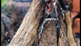 Kādi ir daži padomi, kā izrotāt āra piknika zonu ar senlaicīgiem pieskārieniem?