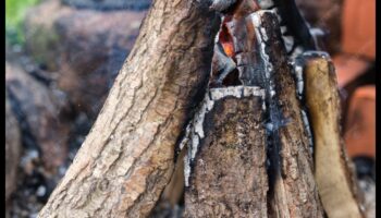 Kādi ir daži padomi, kā izrotāt āra piknika zonu ar senlaicīgiem pieskārieniem?