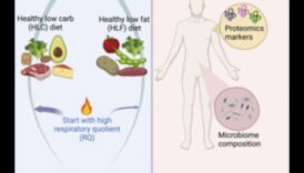 Enerģijas līmeņa uzturēšana: saistība ar ilgtermiņa diētām