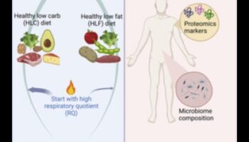 Enerģijas līmeņa uzturēšana: saistība ar ilgtermiņa diētām