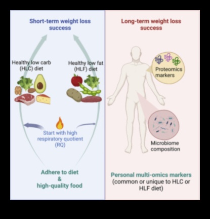 Enerģijas līmeņa uzturēšana: saistība ar ilgtermiņa diētām