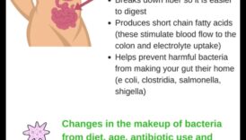 Svara zaudēšanas diētas un zarnu mikrobiota: divvirzienu iela