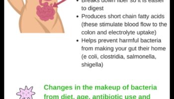 Svara zaudēšanas diētas un zarnu mikrobiota: divvirzienu iela