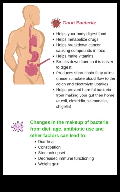 Svara zaudēšanas diētas un zarnu mikrobiota: divvirzienu iela