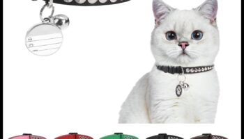 Kaķa kaklasiksna DIY: izveidojiet drošus un stilīgus aksesuārus jūsu kaķim