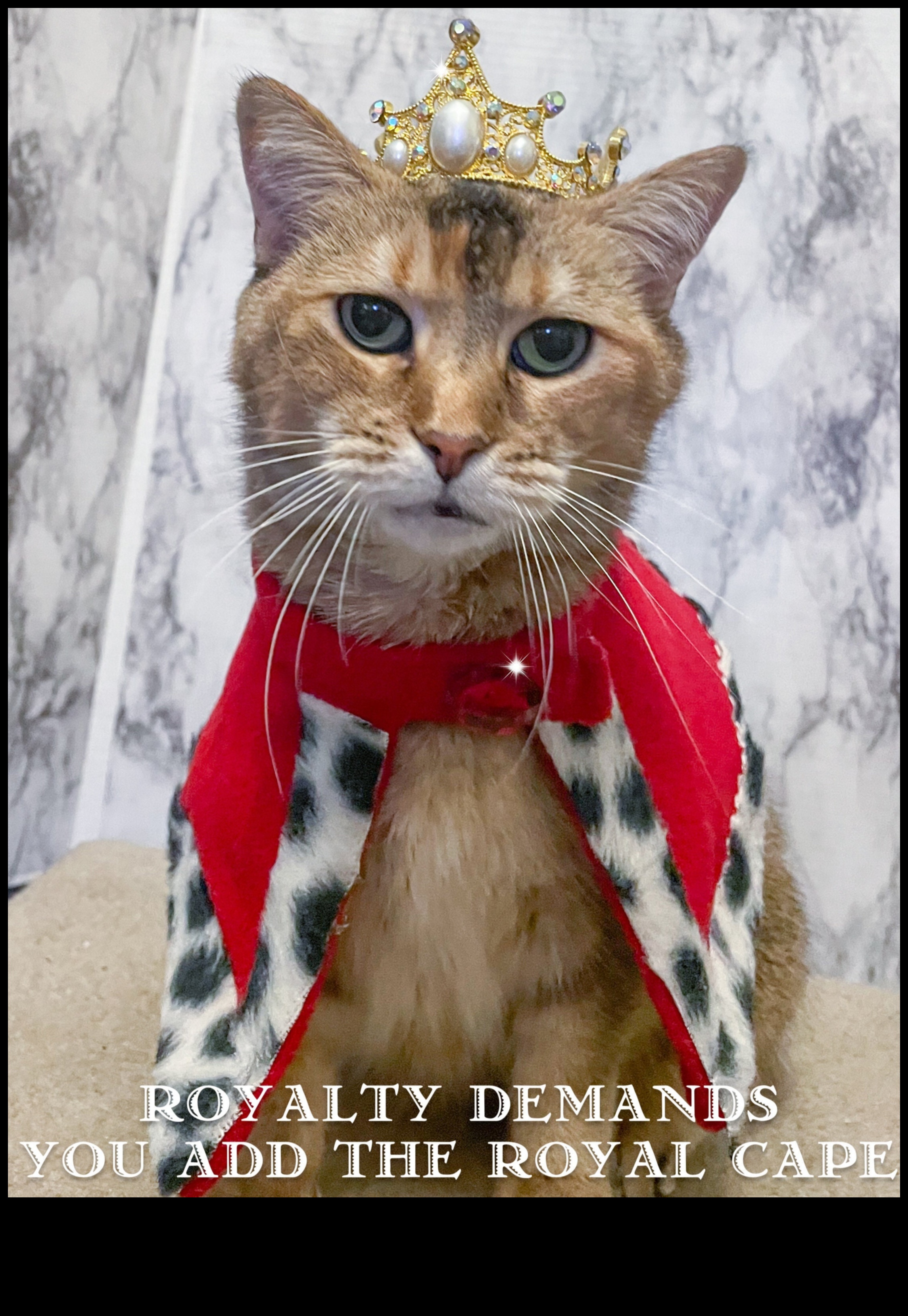 Kaķu kroņa dārgakmeņi: karaliski aksesuāri jūsu karaliskajam kaķim