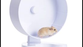 Kāmja riteņu drošība Turpinājums: Pareizas uzstādīšanas un stabilitātes nodrošināšana