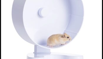 Kāmja riteņu drošība Turpinājums: Pareizas uzstādīšanas un stabilitātes nodrošināšana