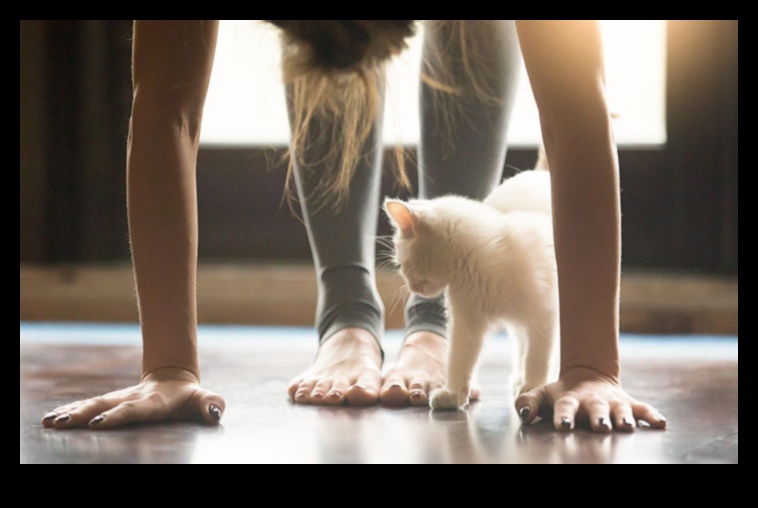 Kitty Joga: Stiepšanās un vingrošanas iekļaušana jūsu kaķa rutīnā