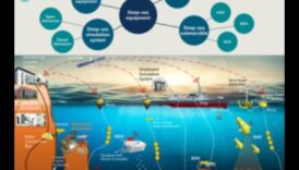Okeanogrāfija 101: Jūru izpēte, izmantojot zivju daudzveidību