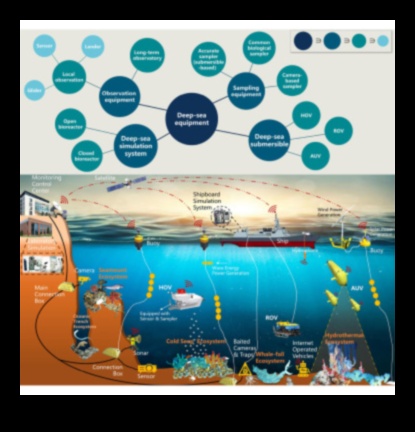 Okeanogrāfija 101: Jūru izpēte, izmantojot zivju daudzveidību