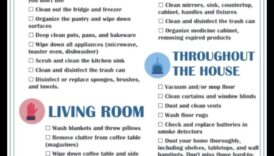 Pavasara tīrīšanas smaržas ar savām rokām: aromterapijas izveide svaigām mājām