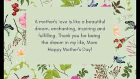 Sapņu duša: maģisku mirkļu radīšana mammai