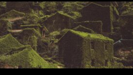 Kokapstrāde savvaļas dzīvniekiem: māju izveide āra radībām